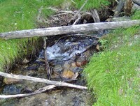 Into the Marmot Mountains 2