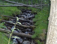  Into the Marmot Mountains 8