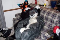 Got ur ears, Wuffle >:D