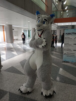 FC23 #37: Senky's Debut at FC!