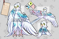 SOLD Parrot Adopt