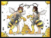 Honey Thieves