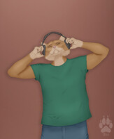 A cat with headphones