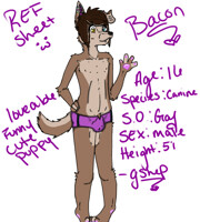 Bacon refernce sheet (clean)