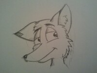 Generic fox :/