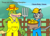 Pamplos Farmers