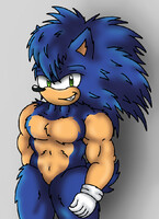 Sonic the Hedgehog