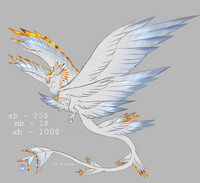 SERAPHIM - SB: 25$
