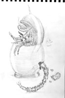 Practice 13th January 2011