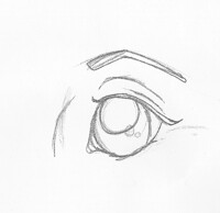Eye