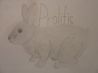 [Prolific] Bunneh~!