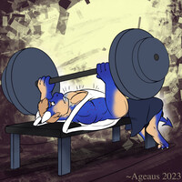 [RESOLUTIONS]: Get Stronger!