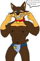 road rovers sexy show infiltration