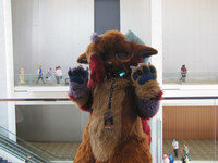 Youmacon 2022 - Zanners