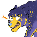 Why am I doing Waja tags