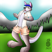 (Com) Summercat Kangaroo