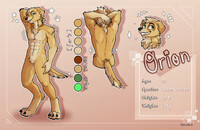 Orion - Reference sheet [Commission]