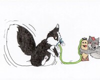 Nevah's Tail Problem COLORED