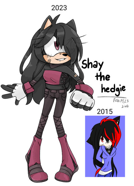 Shay☆The hedgehog☆, Wiki