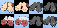 2/12/23 com: Sonas'-paws-a-plenty!