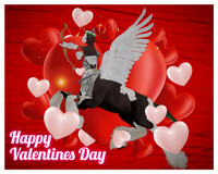 ❤️💓 Cupid Cosplay 💓❤️