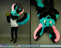 Hushy Partial Fursuit - March 2022