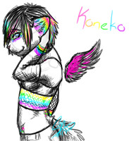 Koneko sketch