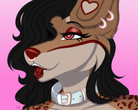 Hypnotic Jay (Alt)