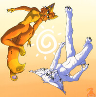 Sun & Moon