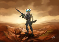 Soldier, Silverwolf4327