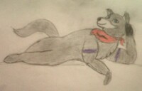 Remake of my fursona: Liesel