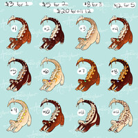 Cocoa Croc OPEN ADOPT BATCH