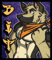 Bit Badge