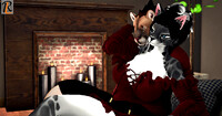 Felines quality time 02