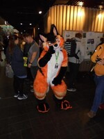 Some Fox at NFC 2023!