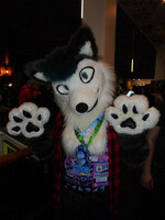 A beauty Wolf at NFC 2023! ^^