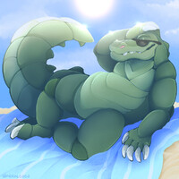 Sunbathing Gator