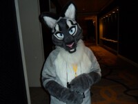 HissyFits (Tisketwolf) FC2011