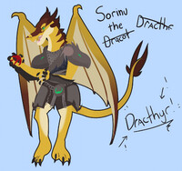 Sorinu the Dracthyr