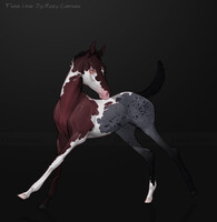 №549 Horse Adopt Auction [CLOSED]