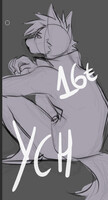 YCH 16€ EXPRESS 6 SLOTS LIMITED