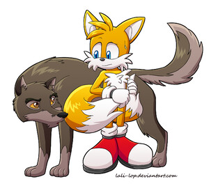 Super Sonic and Super Tails Fusion for hker021 by SonicSpirit128 -- Fur  Affinity [dot] net