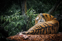 Waiting for the rain to pass