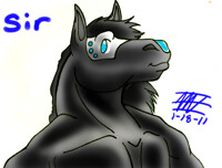 Sir Photoshop Colored!