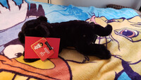 Plushie Collection [19]: 15" FAO Schwarz Black Panther