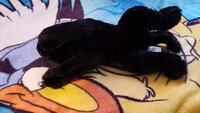 Plushie Collection [19]: 15" FAO Schwarz Black Panther