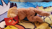 Plushie Collection [20]: 15" FAO Schwarz Adopt-A-Pet Lion