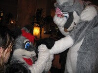 FC2011