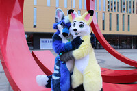 NordicFuzzCon 2023 - Blue and Tan