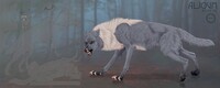 Wolf/dog adopt (closed)